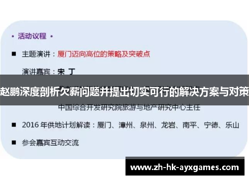 赵鹏深度剖析欠薪问题并提出切实可行的解决方案与对策