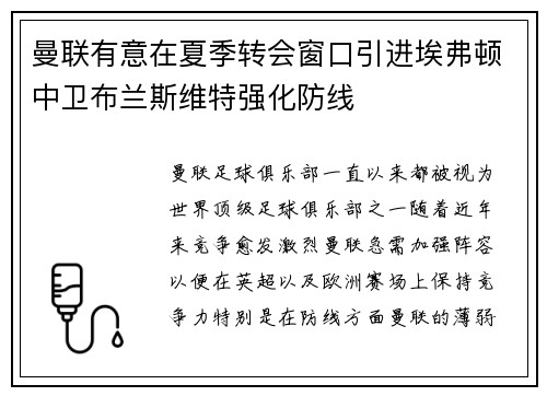 曼联有意在夏季转会窗口引进埃弗顿中卫布兰斯维特强化防线 曼联有意在夏季转会窗口引进埃弗顿中卫布兰斯维特强化防线